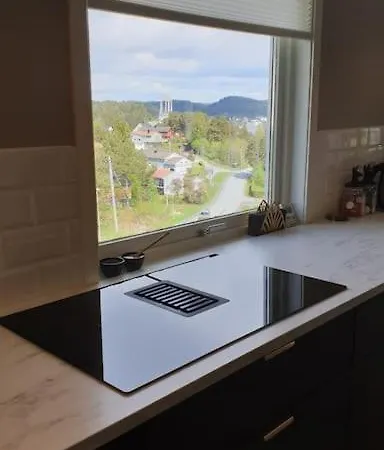 Ferienhaus Romslig Enebolig Med Sentral Beliggenhet Og Anneks Arendal